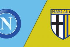 意甲那不勒斯对阵帕尔马赛前分析，两队本赛季表现差异明显