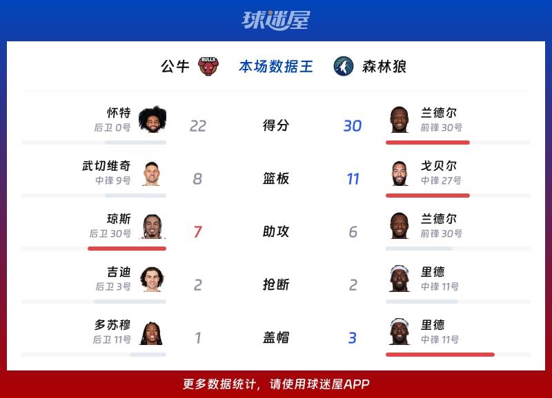 公牛vs森林狼各项最佳