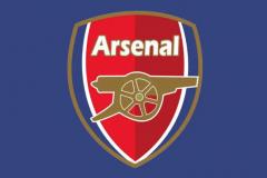 英媒更新阿森纳伤病动态，梅里诺复出未知，萨卡厄德高道曼预计2月回归