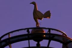 热刺新任球探支持阿森纳，俱乐部采取行动应对