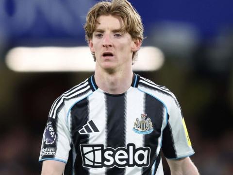 戈登回应希勒鲁尼批评：评论员发表观点前应做好核实工作