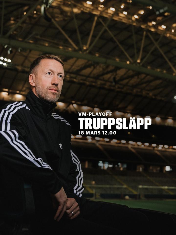 瑞典主帅波特表示附加赛至关重要，他对球队充满信心