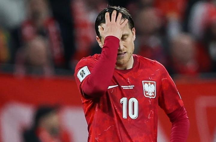 泽林斯基：错失绝杀瑞典良机，世界杯再无吸引力