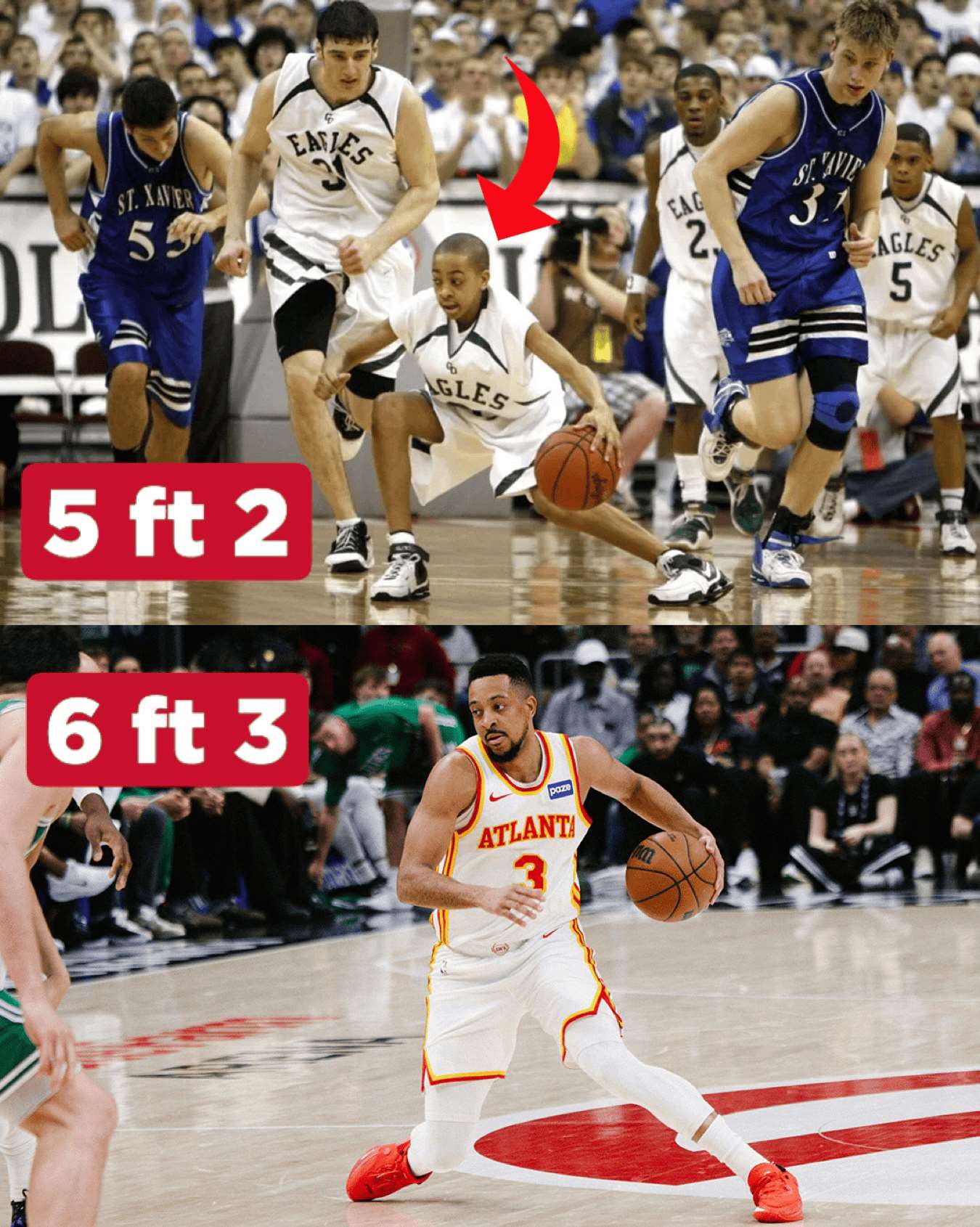 老鹰队史分享，麦科勒姆从高一1米58到NBA长高至1米91